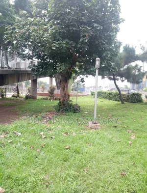 Ozumba Mbadiwe: 4,300 SQM Waterfront Land for Sale.