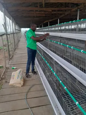 Layers Chicken Cage and Poultry Farm Equipment