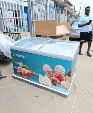 Snowsea Showcase Freezer 368 Liter  With External Complesor