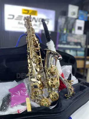 Photo - Henri Selmer Paris Alto Saxophone Gold-silver