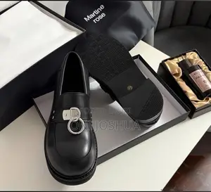 Original Baleciaga Shoe