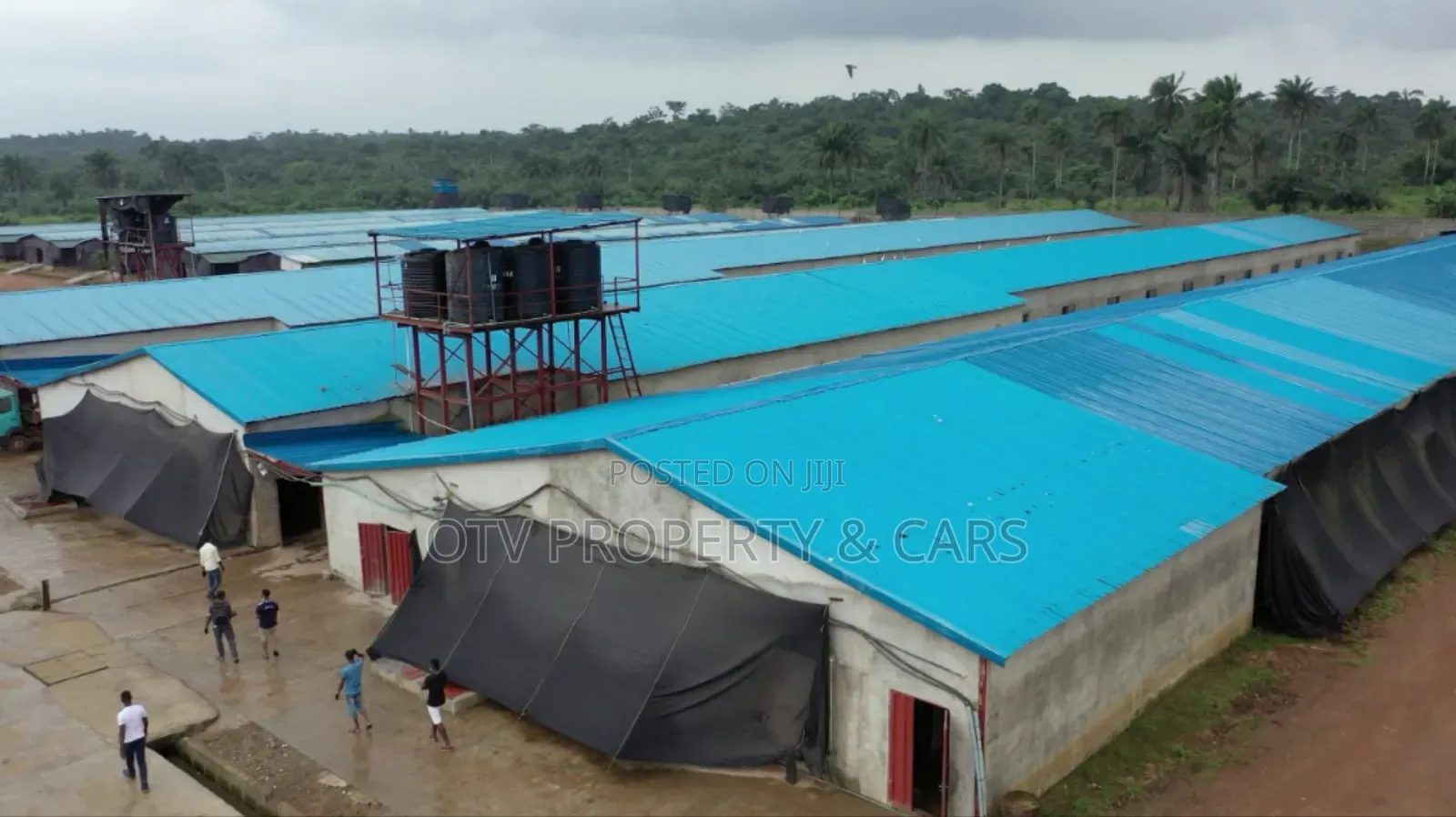 $3.5m Poultry And Farmland Available For Sale In Ogun State