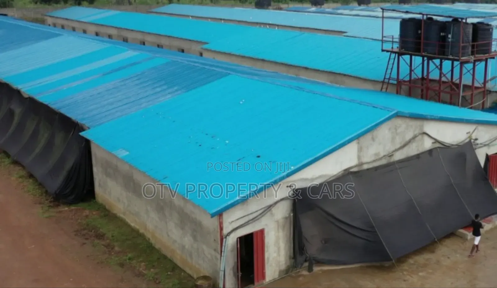 $3.5m Poultry And Farmland Available For Sale In Ogun State