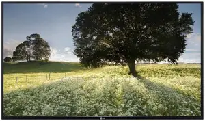 Lg 42" Ips Led Full Hd Display Computer Monitor