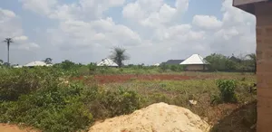 50 by 100 at Eguaveon Community in Ekosodin Back of University Ugbowo