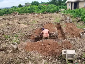 Expect Bricklayer