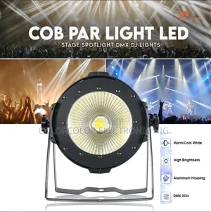 Cob Light 100w