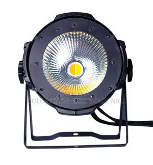 Cob Light 100w