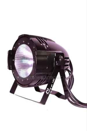 Cob Light 100w