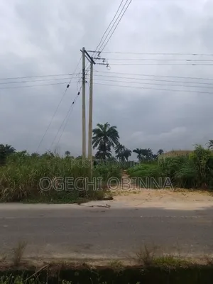 Distress Buy and Build Land for Sale at Ulakwo Etche