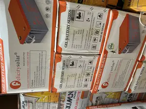 Felicity Solar Dry Cell Battery