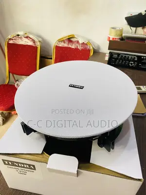 Tundra Passive Ceiling Speaker