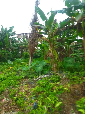 Distress Buy and Build at Egwi Etche
