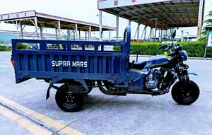 New Tricycle 2025 Blue