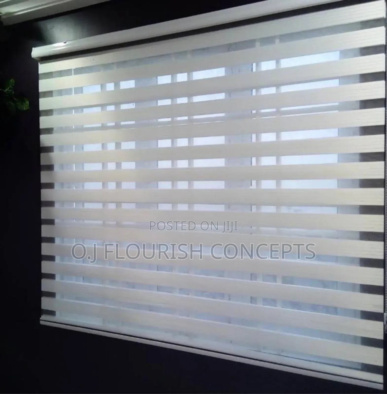 Day And Night Window Blinds