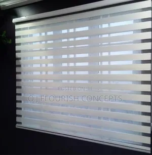 Day And Night Window Blinds