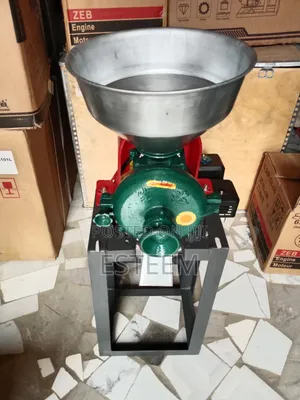 Dry and Wet Grinder