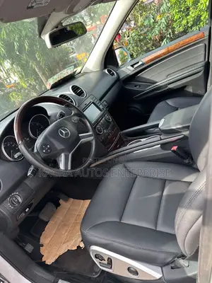 Mercedes-Benz M Class 2010 Silver