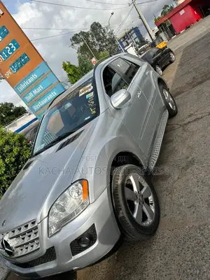 Mercedes-Benz M Class 2010 Silver