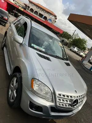 Mercedes-Benz M Class 2010 Silver