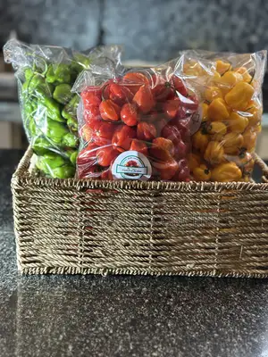 Red, Yellow Green Habanero Peppers