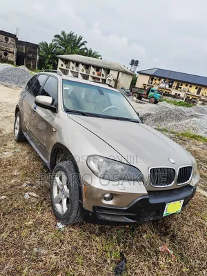 BMW X5 xDrive30i AWD (3.0L 6cyl 6A) 2010 Brown