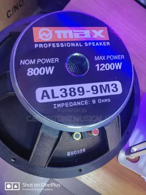 15 Inche Omax Speaker