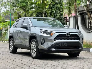 Toyota RAV4 2020 Gray