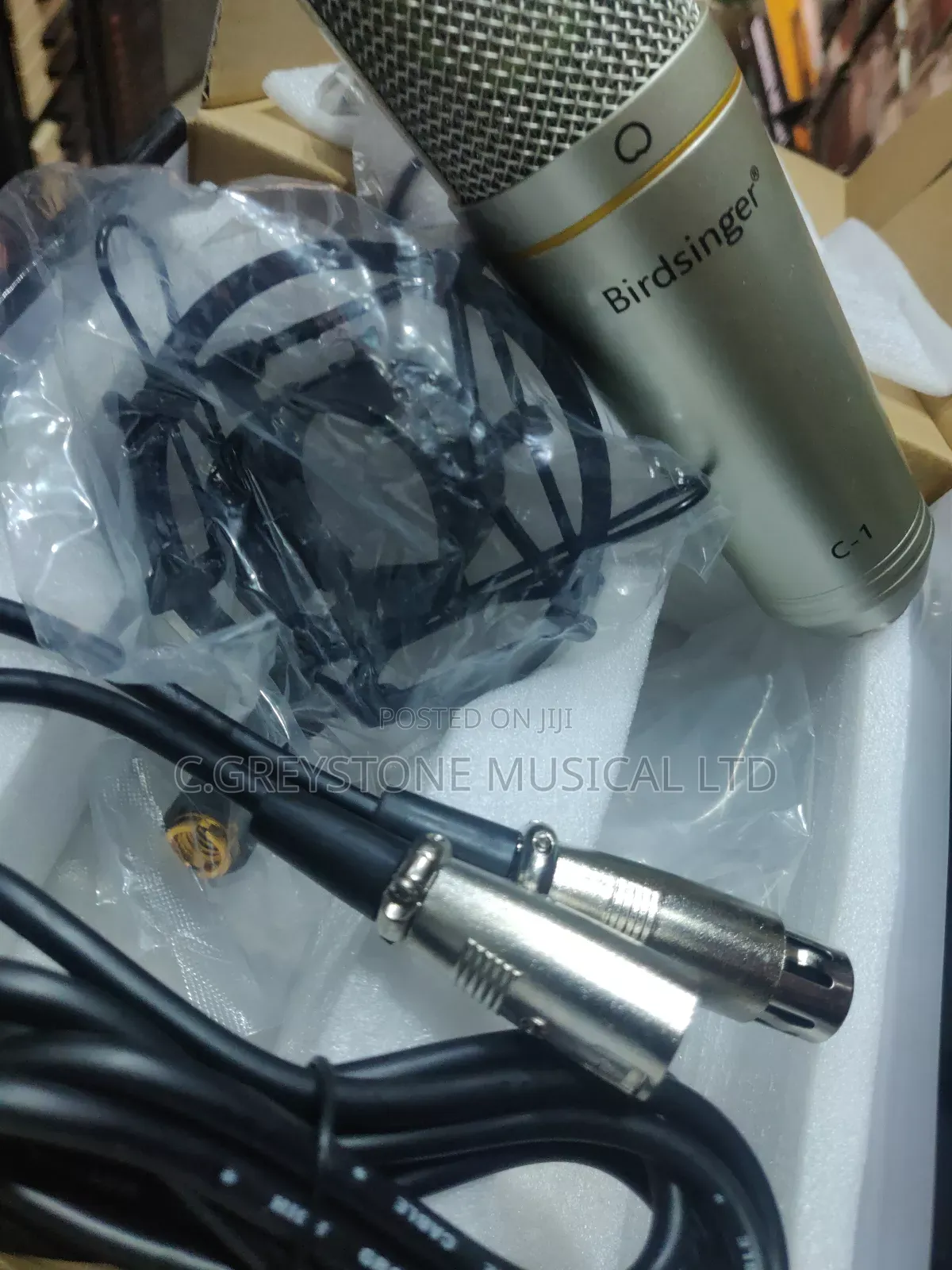 Studio Microphone C-1 Birdsinger