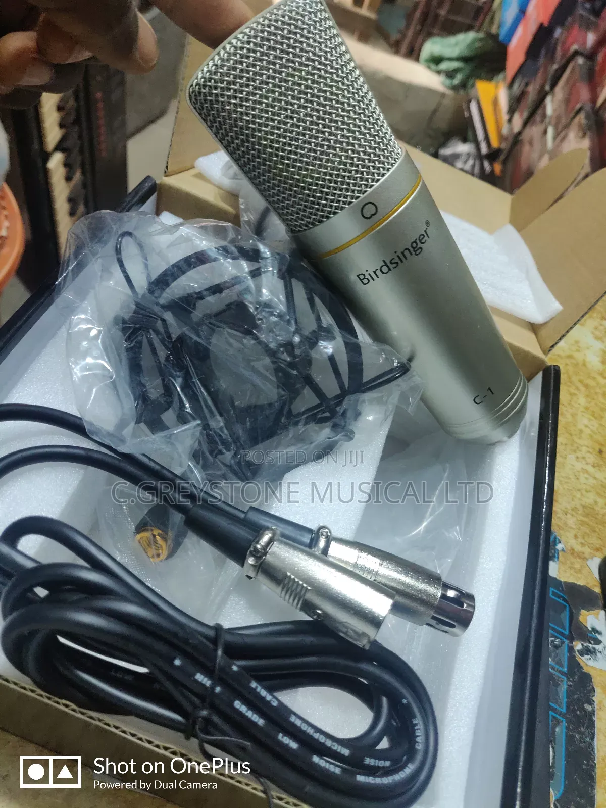 Studio Microphone C-1 Birdsinger