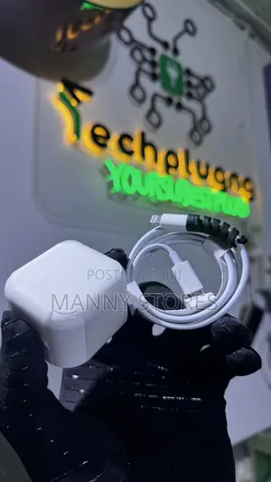 Original iPhone Charger (14 Series and Below)