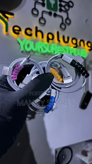 Original iPhone Charger (14 Series and Below)