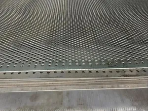 Galvanized Pavorated Mesh