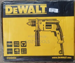 Dwd024 Electric Drill Machine