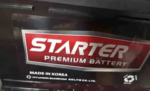 All Kinds of Korean Car Battery