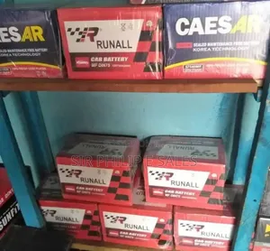 All Kinds of Korean Car Battery