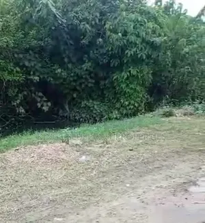 100 by 75 Land for Sale in Water Resources Warri