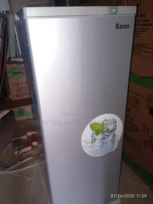 Bona Ac/Dc 198l Upright Freezer