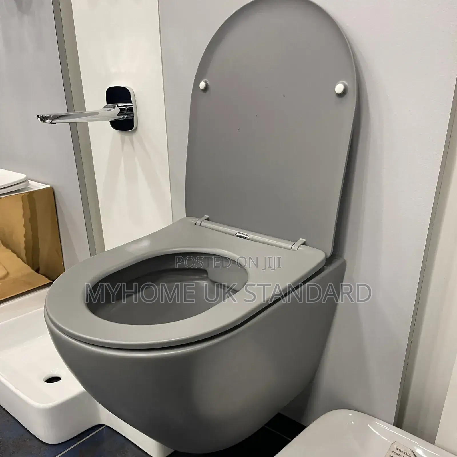 Grey Concealed Wc