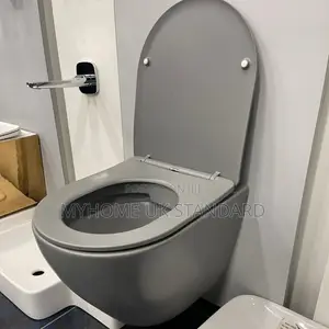 Grey Concealed Wc