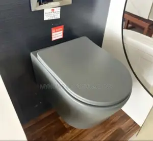 Grey Concealed Wc