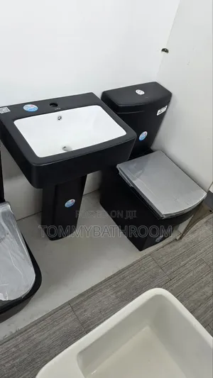Black and White Water Closet
