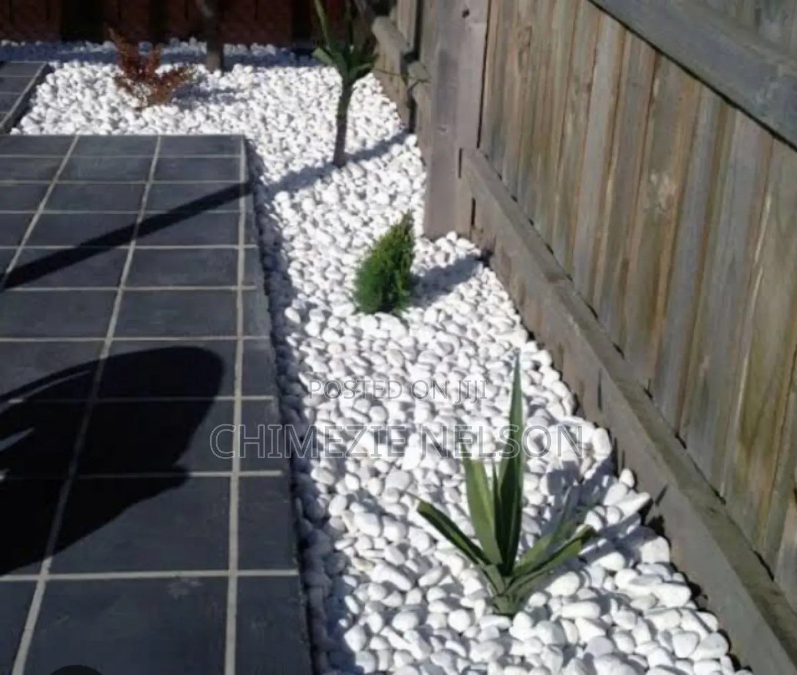 White and Black Stones