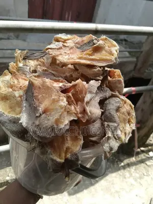 Stock Fish, Crayfish and Dried Snails