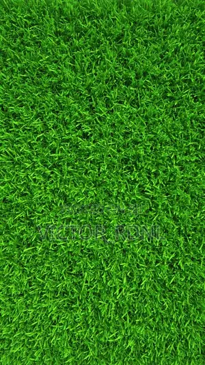 Carpet Grass Available In Bundle. Delivery