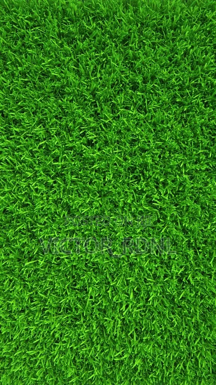 Carpet Grass Available In Bundle. Delivery