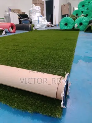 Carpet Grass and Installation
