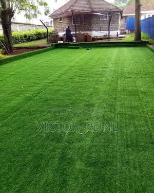 Carpet Grass and Installation