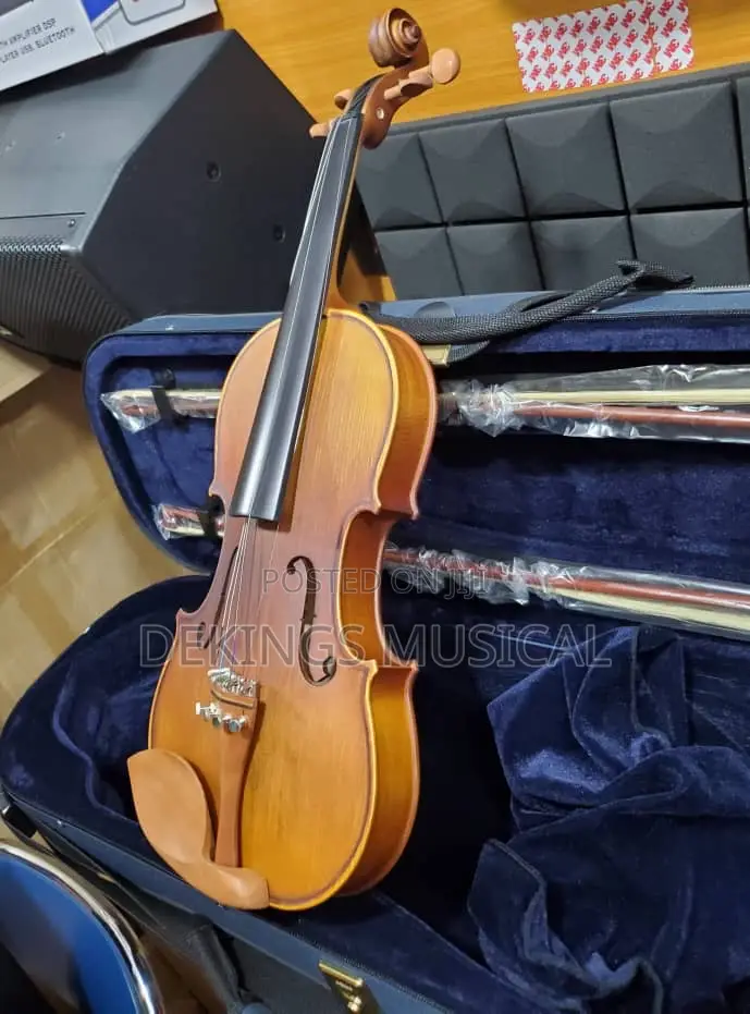 D’Lark Pro Concert Violin