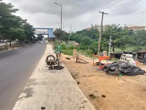 For Sale, Land Along Lagos Express, Agric Ikorodu, With Cofo